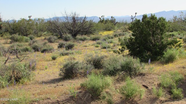 19310 S John Wayne Rd, Yucca, AZ 86438 - photo 13