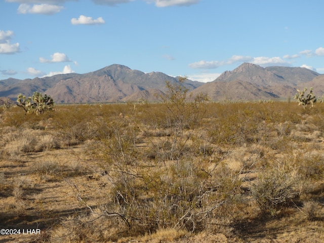 19310 S John Wayne Rd, Yucca, AZ 86438 - photo 17