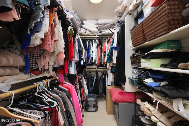 view of spacious closet