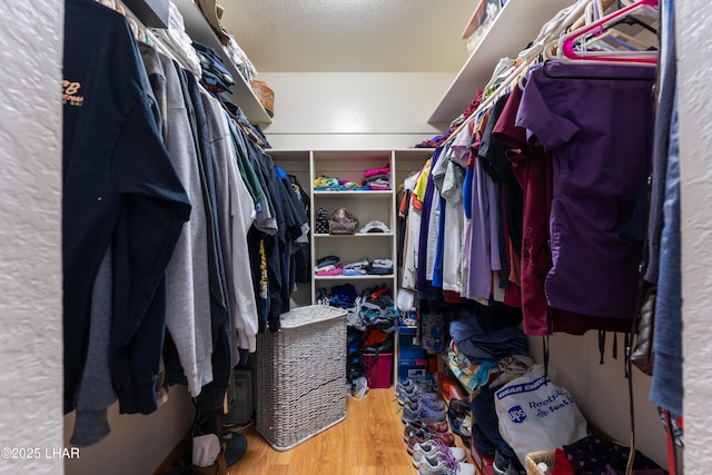 spacious closet with wood-type flooring