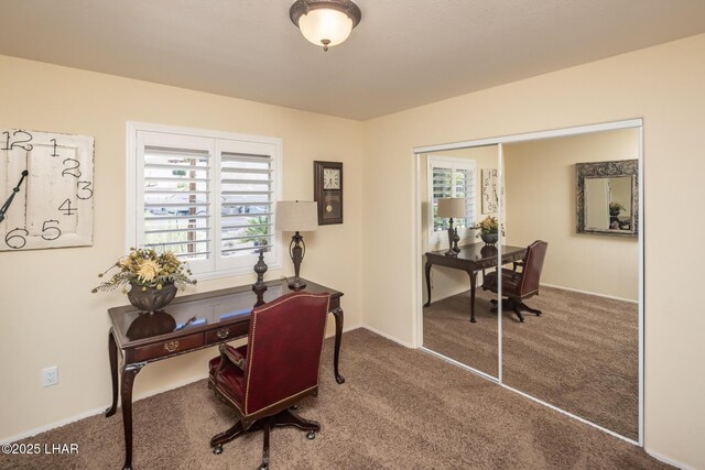 3980 Duke Ln, Lake Havasu City, AZ 86404 - photo 19