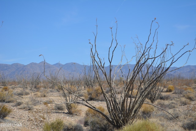 G12 S Rainbow Rd, Yucca, AZ 86438 - photo 11