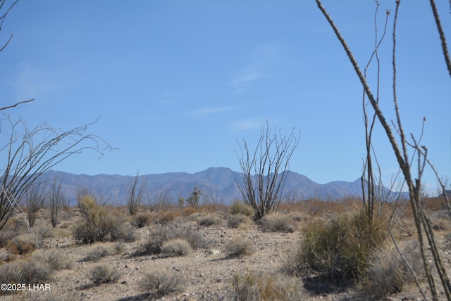 G12 S Rainbow Rd, Yucca, AZ 86438 - photo 13