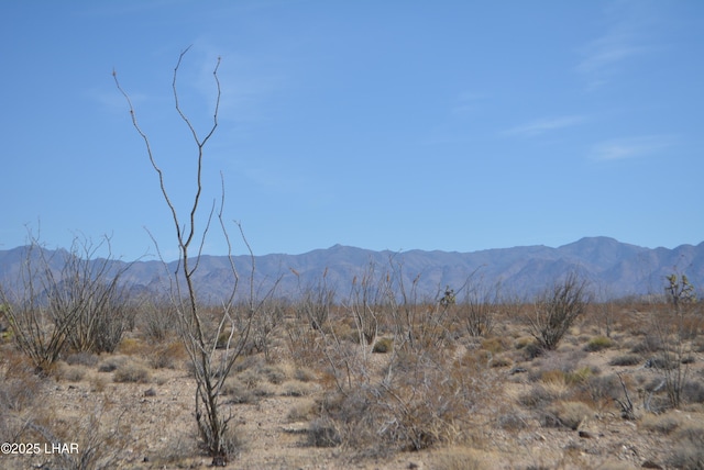 G12 S Rainbow Rd, Yucca, AZ 86438 - photo 7
