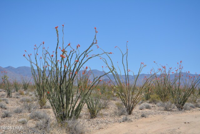 G12 S Rainbow Rd, Yucca, AZ 86438 - photo 60
