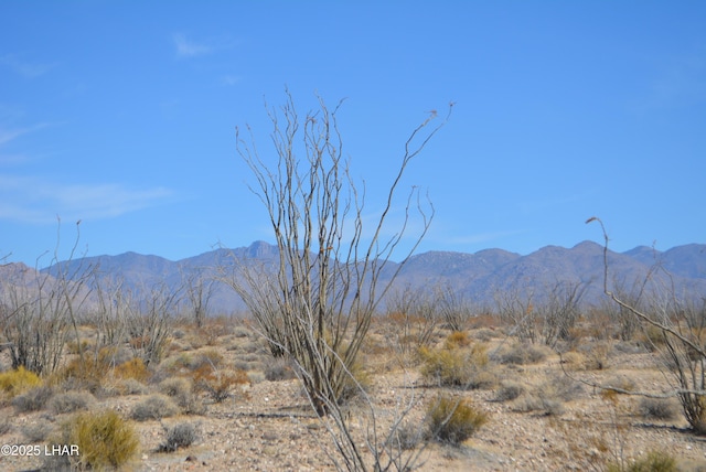 G12 S Rainbow Rd, Yucca, AZ 86438 - photo 10