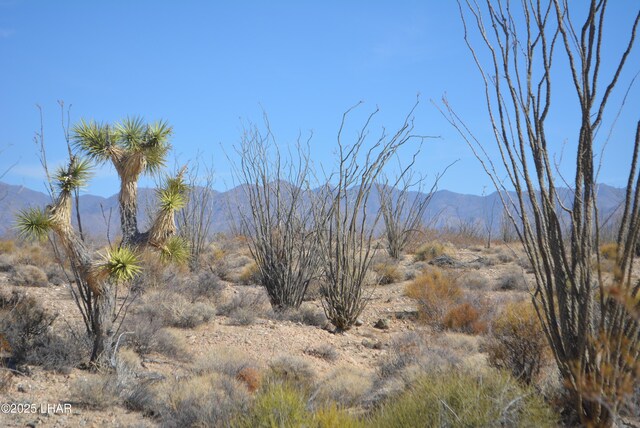 G12 S Rainbow Rd, Yucca, AZ 86438 - photo 12