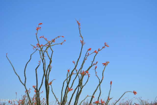 G12 S Rainbow Rd, Yucca, AZ 86438 - photo 66