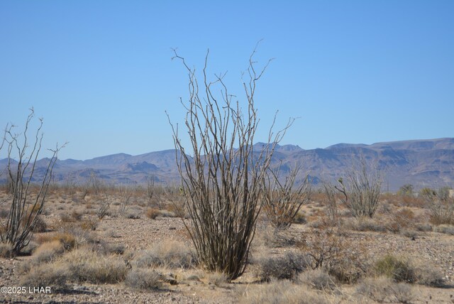 G12 S Rainbow Rd, Yucca, AZ 86438 - photo 39