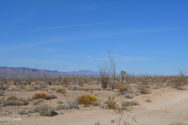 G12 S Rainbow Rd, Yucca, AZ 86438 - photo 6