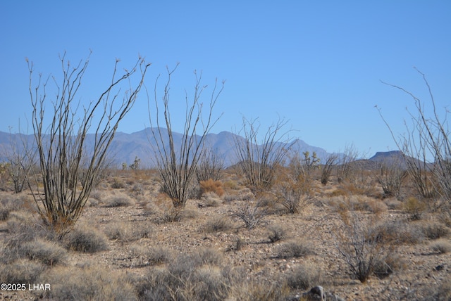 G12 S Rainbow Rd, Yucca, AZ 86438 - photo 25