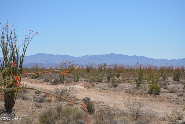 G12 S Rainbow Rd, Yucca, AZ 86438 - photo 68