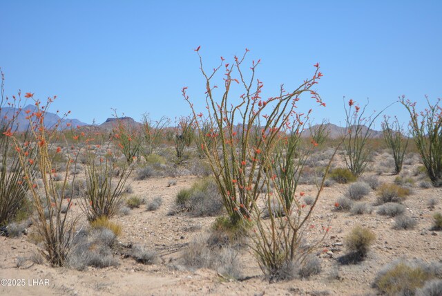 G12 S Rainbow Rd, Yucca, AZ 86438 - photo 63