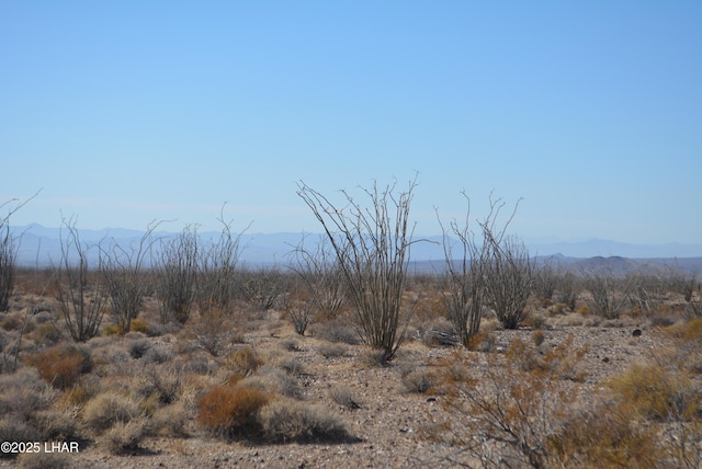 G12 S Rainbow Rd, Yucca, AZ 86438 - photo 36