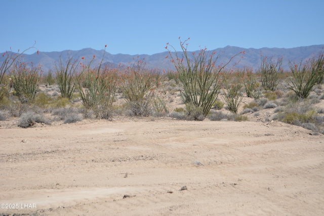 G12 S Rainbow Rd, Yucca, AZ 86438 - photo 61