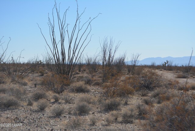 G12 S Rainbow Rd, Yucca, AZ 86438 - photo 31