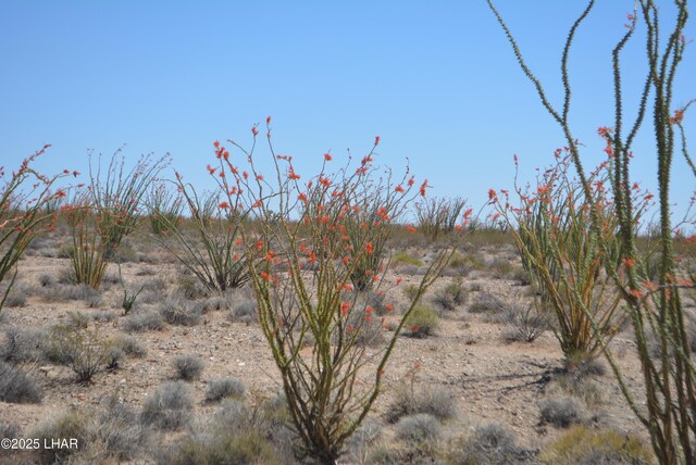 G12 S Rainbow Rd, Yucca, AZ 86438 - photo 65