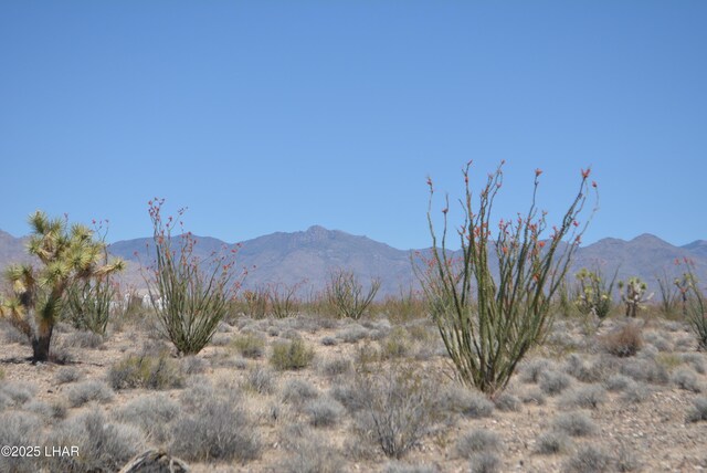 G12 S Rainbow Rd, Yucca, AZ 86438 - photo 58