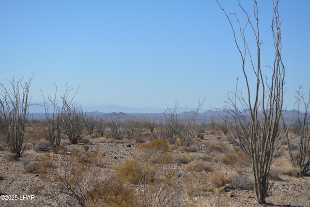 G12 S Rainbow Rd, Yucca, AZ 86438 - photo 37