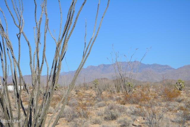 G12 S Rainbow Rd, Yucca, AZ 86438 - photo 49