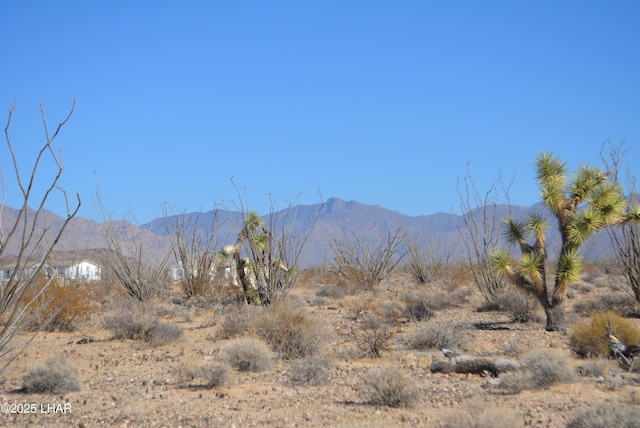 G12 S Rainbow Rd, Yucca, AZ 86438 - photo 20