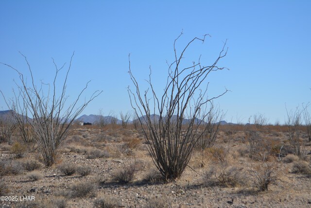 G12 S Rainbow Rd, Yucca, AZ 86438 - photo 27