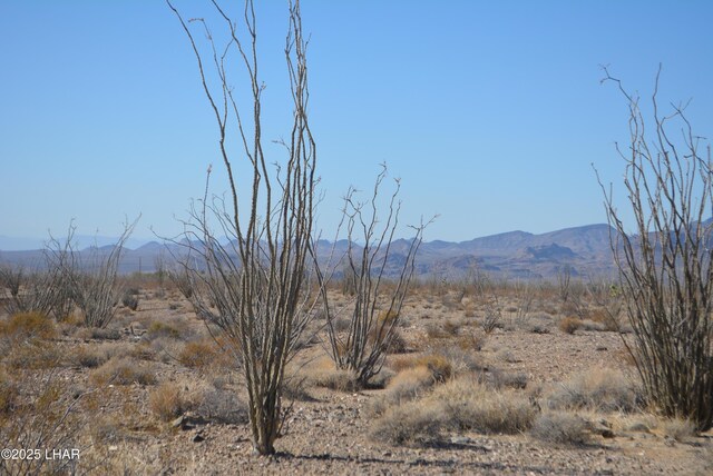 G12 S Rainbow Rd, Yucca, AZ 86438 - photo 38