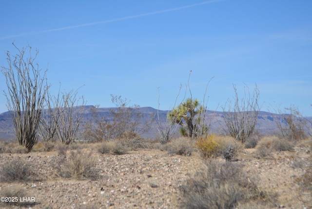G12 S Rainbow Rd, Yucca, AZ 86438 - photo 15