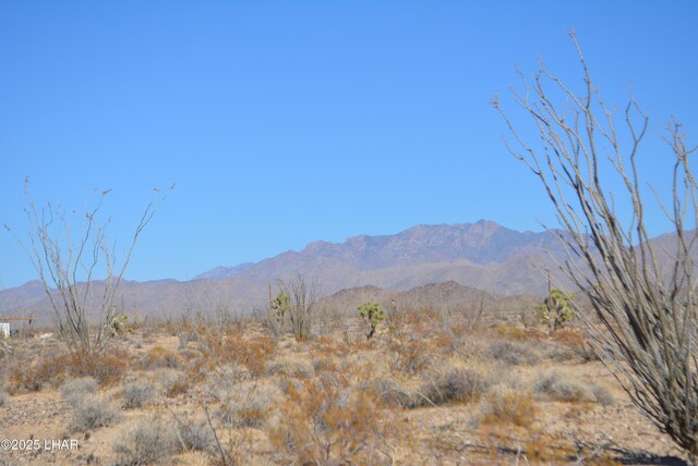 G12 S Rainbow Rd, Yucca, AZ 86438 - photo 18