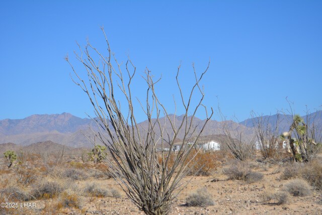 G12 S Rainbow Rd, Yucca, AZ 86438 - photo 19