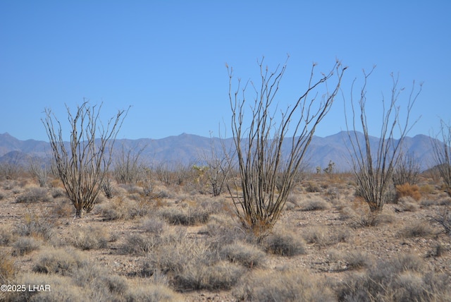 G12 S Rainbow Rd, Yucca, AZ 86438 - photo 24