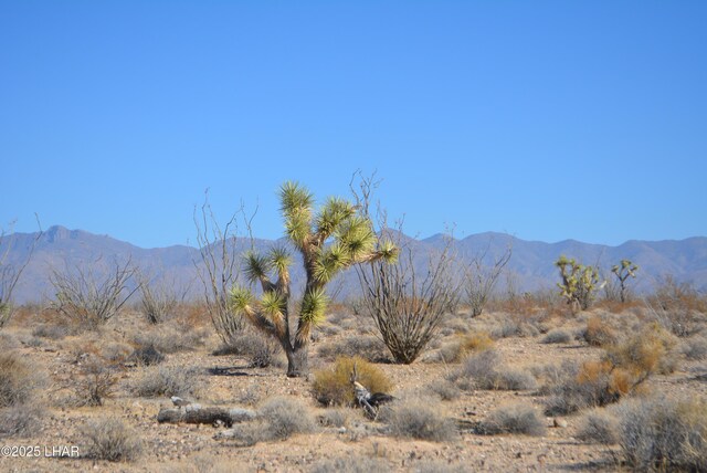 G12 S Rainbow Rd, Yucca, AZ 86438 - photo 21