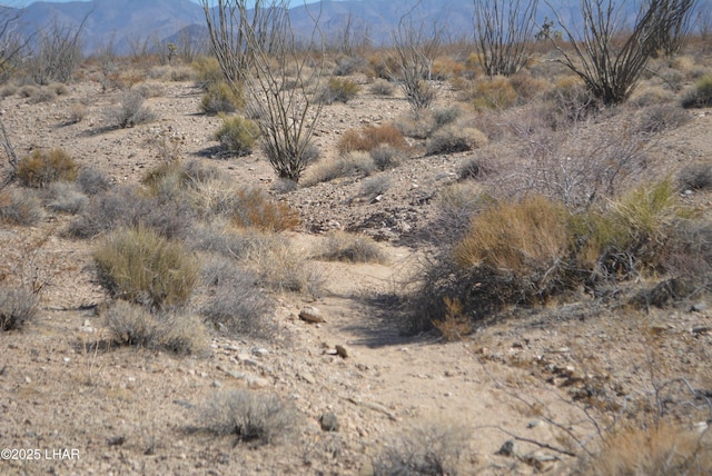 G12 S Rainbow Rd, Yucca, AZ 86438 - photo 8