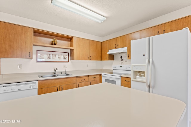 2094 Mesquite Ave Unit 113, Lake Havasu City, AZ 86403 - kitchen with white appliances, open shelves, under cabinet range hood, light countertops, and a textured ceiling