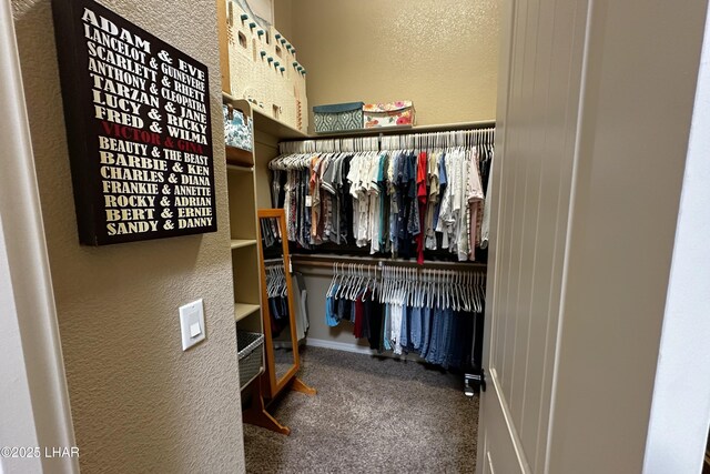 2969 Pony Cir, Lake Havasu City, AZ 86406 - walk in closet featuring carpet flooring
