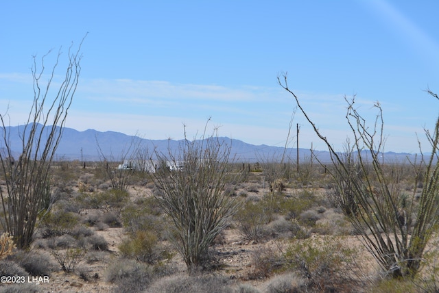 4.7ACRES S Anegam Rd, Yucca AZ, 86438 land for sale