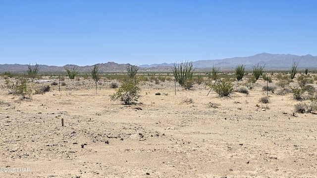 16457 S Lynn Ave, Yucca, AZ 86438 - mountain view with a desert landscape and rural landscape
