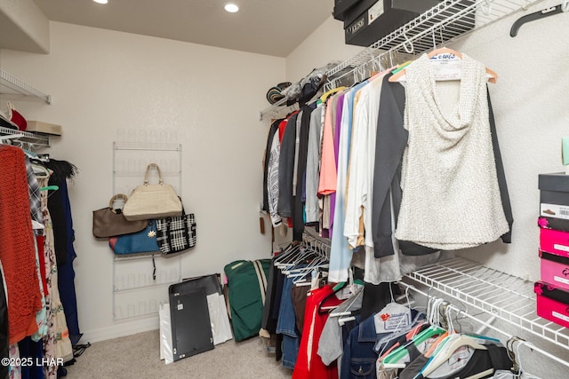 1415 Mcculloch Blvd N Unit 102, Lake Havasu City, AZ 86403 - walk in closet featuring carpet floors