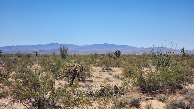 LOT197 S Cortaro Rd, Yucca, AZ 86438
