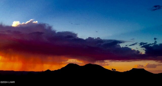 LOT197 S Cortaro Rd, Yucca, AZ 86438