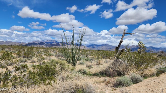LOT197 S Cortaro Rd, Yucca, AZ 86438