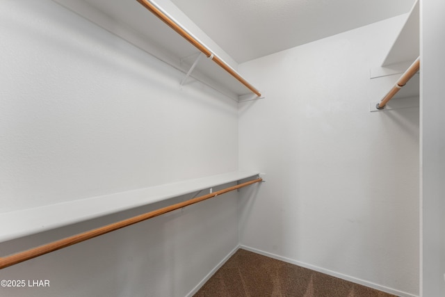 spacious closet with carpet