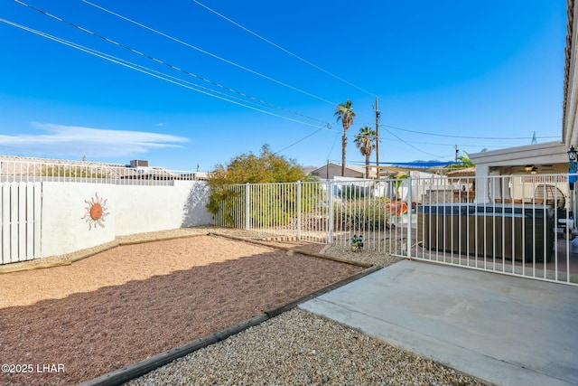 view of yard with a fenced backyard and a patio area