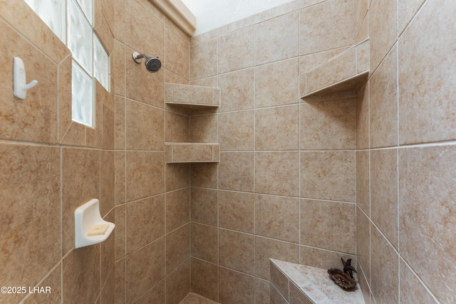 full bathroom featuring a tile shower