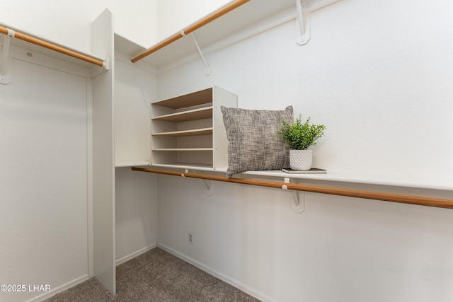 spacious closet featuring carpet floors and built in desk