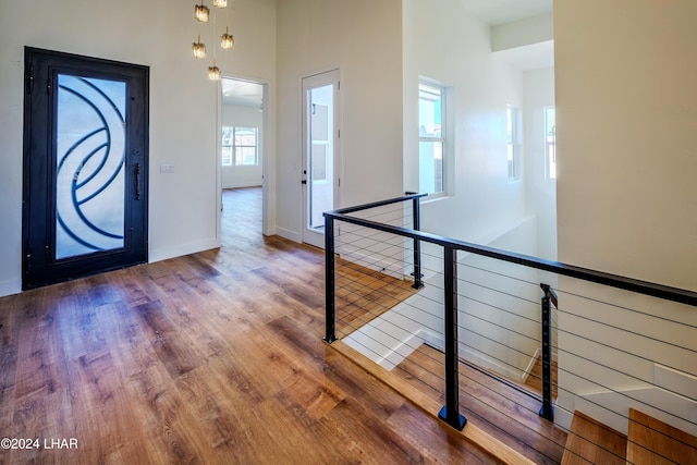 foyer entrance featuring hardwood / wood-style floors