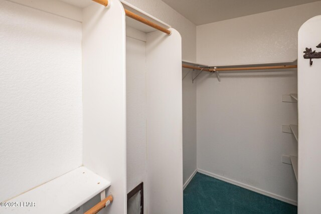 4080 Albacore Dr, Lake Havasu City, AZ 86406 - spacious closet featuring carpet floors