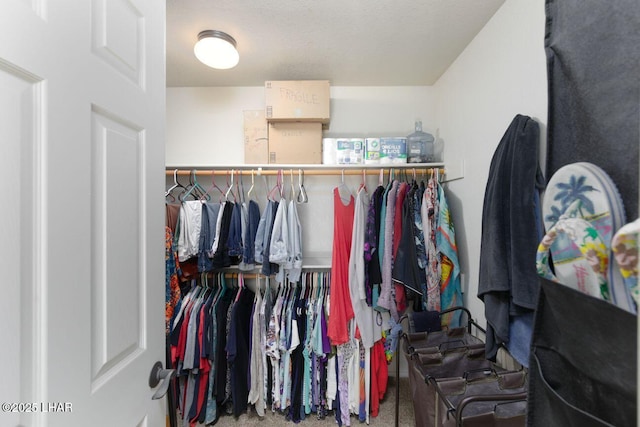 spacious closet with carpet flooring