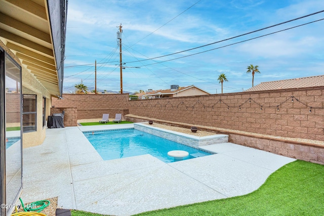 view of pool featuring a fenced in pool, a patio area, and a fenced backyard