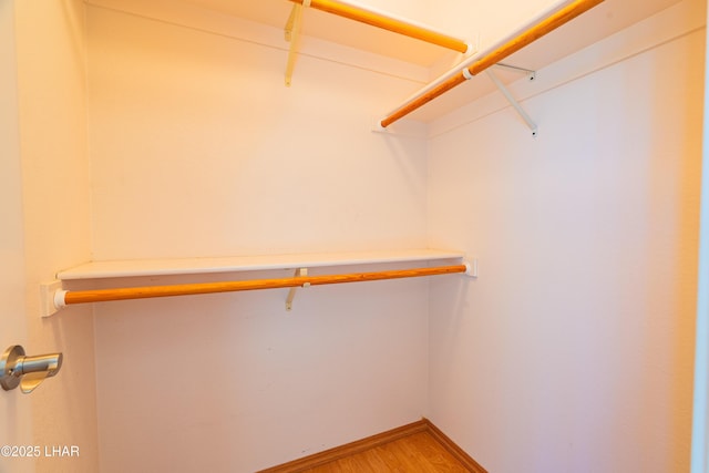 2335 Palo Verde Blvd N, Lake Havasu City, AZ 86404 - spacious closet featuring light wood-style floors